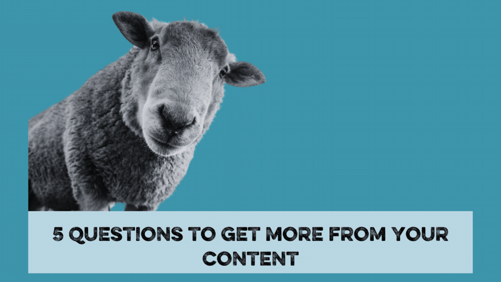 sheep over the words "5 questions to get more form your content"