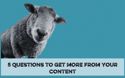 5 Questions To Get More From Your Content