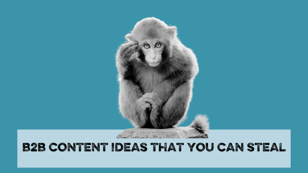 Monkey sitting above the words B2B content ideas that you can steal
